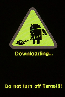 Samsung GT-I9000 Galaxy S download mode screen.jpg